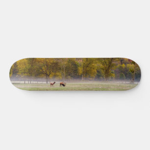 Weidenelch-Coupé-Skateboard Skateboard