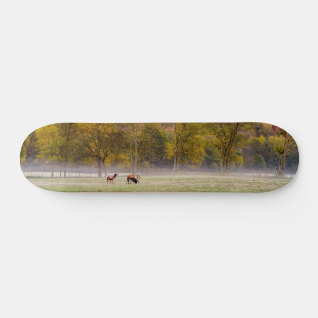 Weidenelch-Coupé-Skateboard Skateboard (Horizontal)