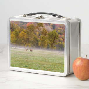 Weidenelch - Lunchbox