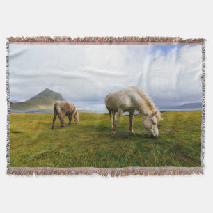 Weidepferde Decke