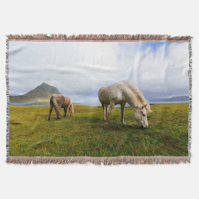 Weidepferde Decke (Vorderseite)