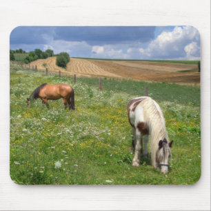 Weidepferde Mousepad