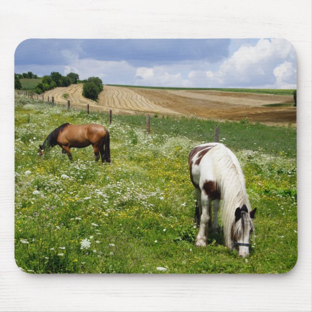 Weidepferde Mousepad (Vorne)