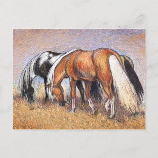 Weidepferde Postkarte