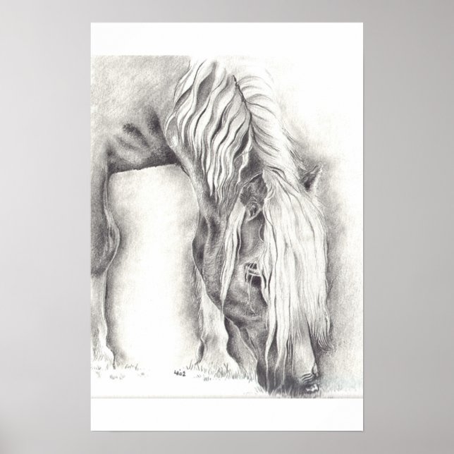 Weidepony Poster (Vorne)