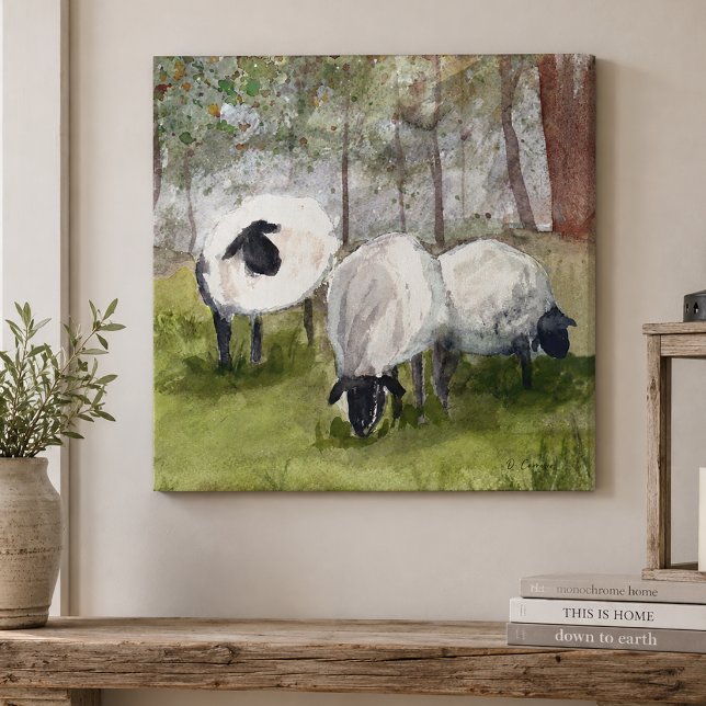 Weideschaf Leinwanddruck (Sheep Canvas Wall Art)