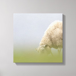 Weideschaf-Natur-Foto Leinwanddruck
