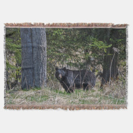 Weidewild Schwarzer Bär Wildlife Foto Decke