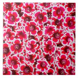 Weigela Florida Flower Fliese