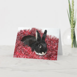 Weihnachten