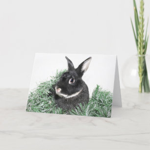Weihnachten