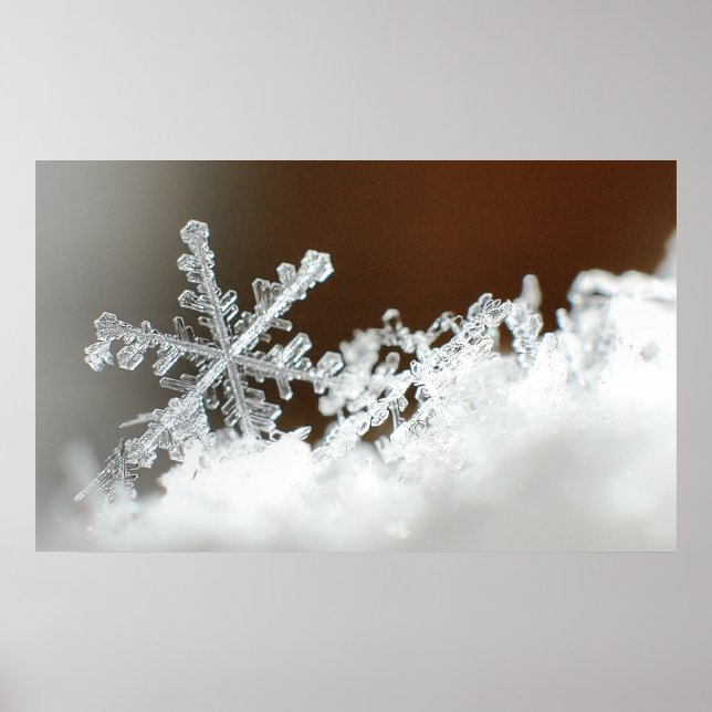 Weihnachten 2009 poster (Vorne)