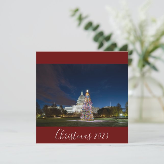 Weihnachten 2023 im Hauptstadt Tree (Stehend Vorderseite)
