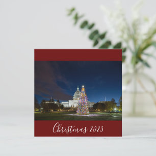 Weihnachten 2023 im Hauptstadt Tree