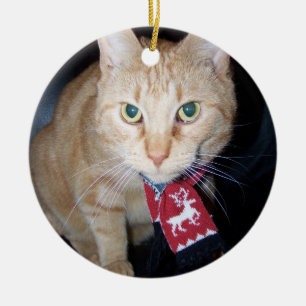 Weihnachten 2025 Orangefarbene Katze mit Scarf Keramik Ornament
