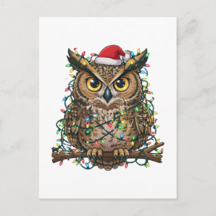 Weihnachten 2026 Festliche Eule Feiertagsvogel 