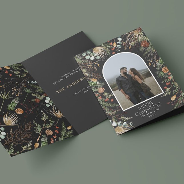 Weihnachten 2 Foto Botanischer Botanischer Blumeng (Von Creator hochgeladen)