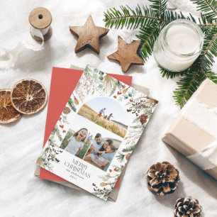 Weihnachten 3 Foto Botanischer Botanischer Blumeng