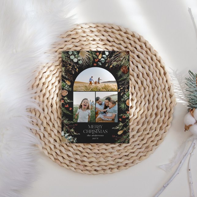 Weihnachten 3 Foto Botanischer Botanischer Blumeng (Von Creator hochgeladen)