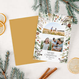 Weihnachten 3 Foto Botanischer Botanischer Blumeng