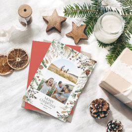 Weihnachten 3 Foto Botanischer Botanischer Blumeng