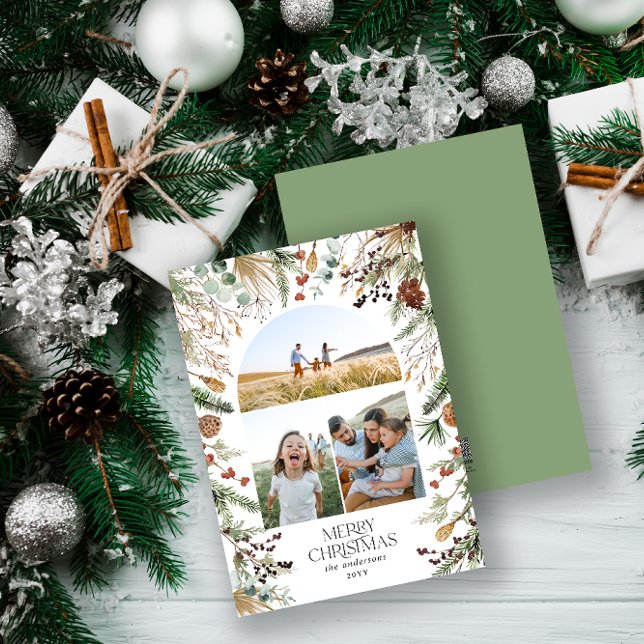 Weihnachten 3 Foto Botanischer Botanischer Blumeng (Von Creator hochgeladen)