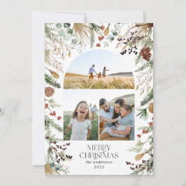 Weihnachten 3 Foto Botanischer Botanischer Blumeng