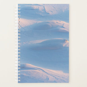Weihnachten 98 planer