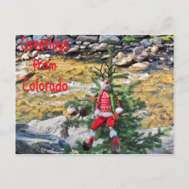 "Weihnachten abschütteln" Postkarten