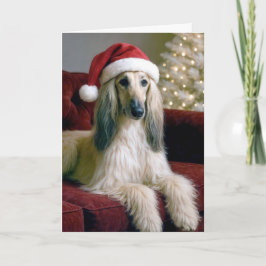 Weihnachten - Afghanischer Hund auf einem Samtcouc Karte