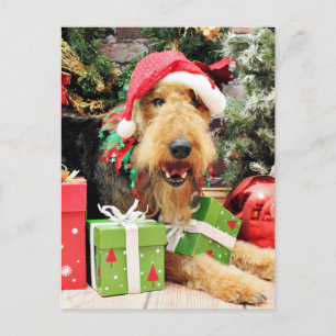 Weihnachten - Airedale - Kiehn
