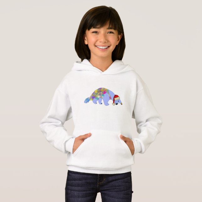 Weihnachten Anteater Funny Weird Psychedelic Anima Hoodie (Vorne ganz)