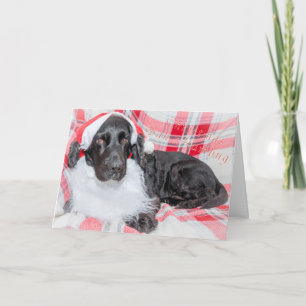 Weihnachten Bah Humbug Karte