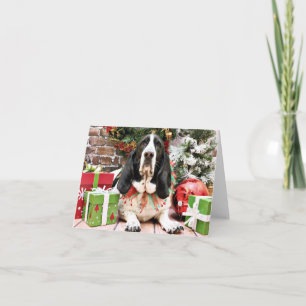 Weihnachten - Basset Hound - Jasmin
