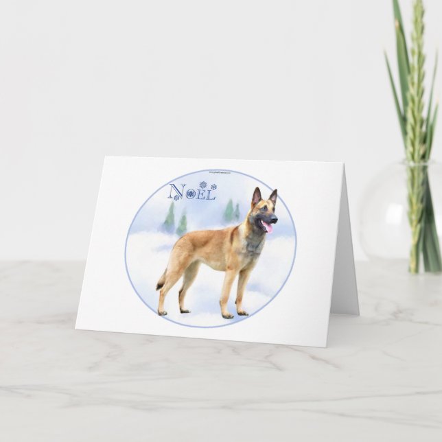 Weihnachten-Belgier Malinois Feiertagskarte (Vorderseite)