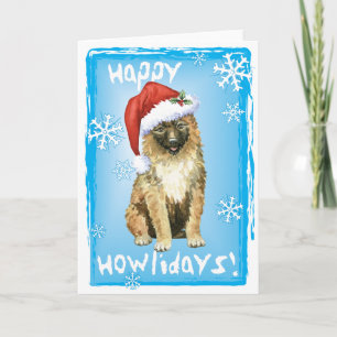 Weihnachten Belgisch Laekenois