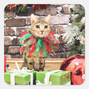 Weihnachten - bengalische Katze - Jack Quadratischer Aufkleber