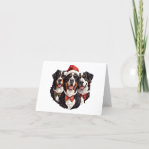 Weihnachten Berner Hunde