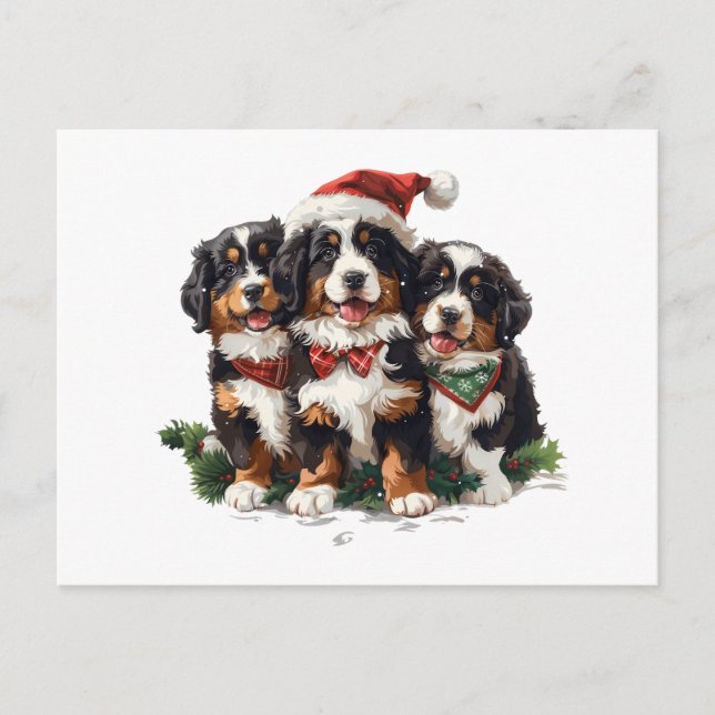 Weihnachten Berner Hunde (Vorderseite)