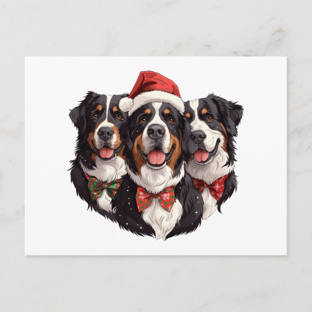 Weihnachten Berner Hunde Postkarte (Vorderseite)