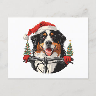 Weihnachten Bernese Mountain Dog Biking Postkarte