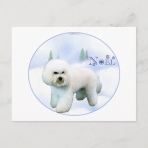Weihnachten Bichon Frise