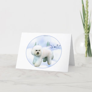 Weihnachten Bichon Frise