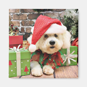 Weihnachten - Bichon Frise - Daisy Magnet