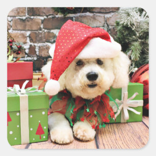 Weihnachten - Bichon Frise - Daisy Quadratischer Aufkleber