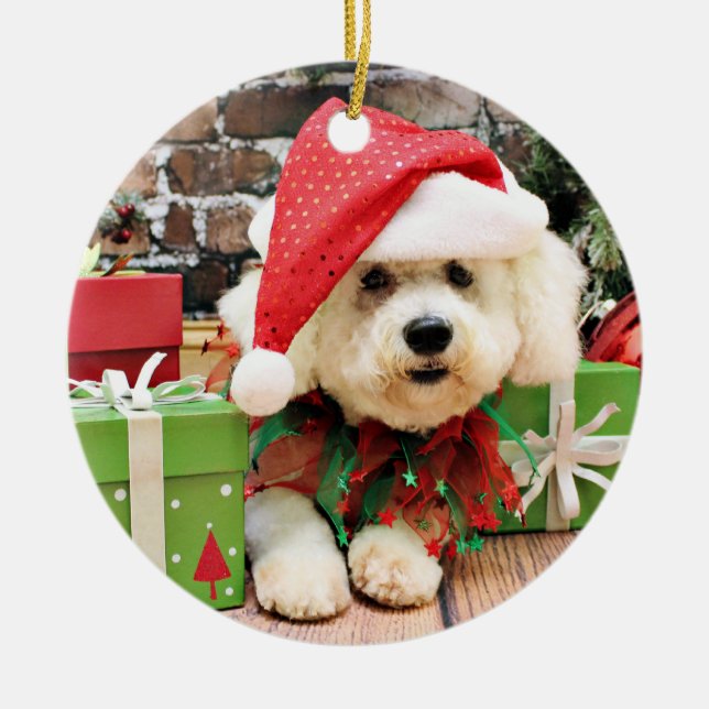 Weihnachten - Bichon Frise - Gänseblümchen Keramik Ornament (Vorne)