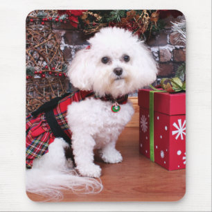 Weihnachten - Bichon Frise - Mia Mousepad