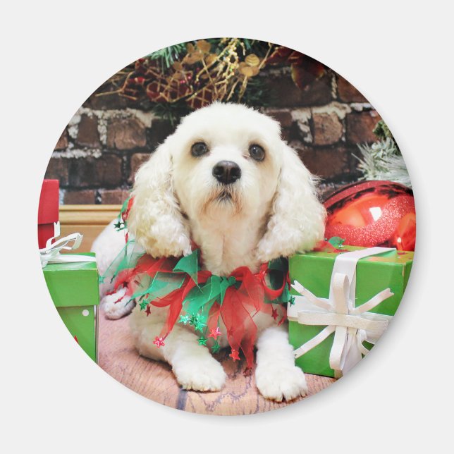 Weihnachten - Bichon Frise X - Maya Magnet (Vorne)