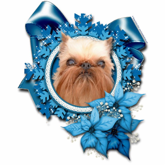 Weihnachten - blaue Schneeflocke - Brüssel Griffon Fotoskulptur Ornament (Vorne)