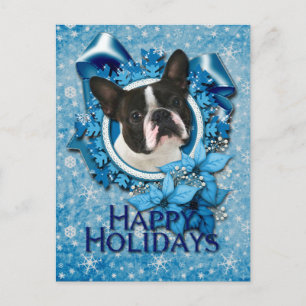 Weihnachten - Blaue Schneeflocken - Boston Terrier